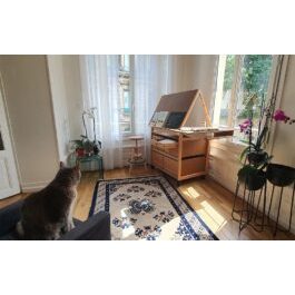 Workshop zum Malen von Vichy-Orchideen
